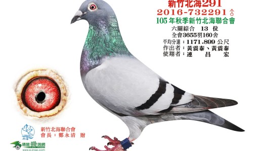 扁桃体炎的病因和症状是什么-扁桃体炎的病因和症状网 - 扁桃体炎的症状和表现,扁桃体炎的症状有哪些